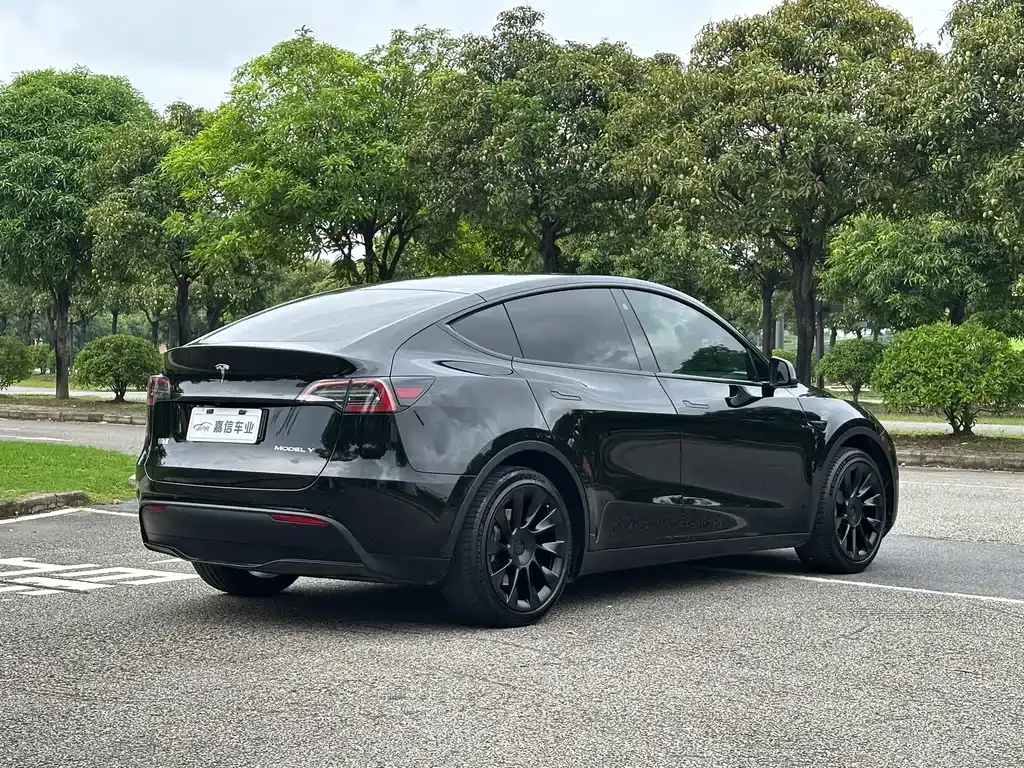 Tesla Model Y — фото 8