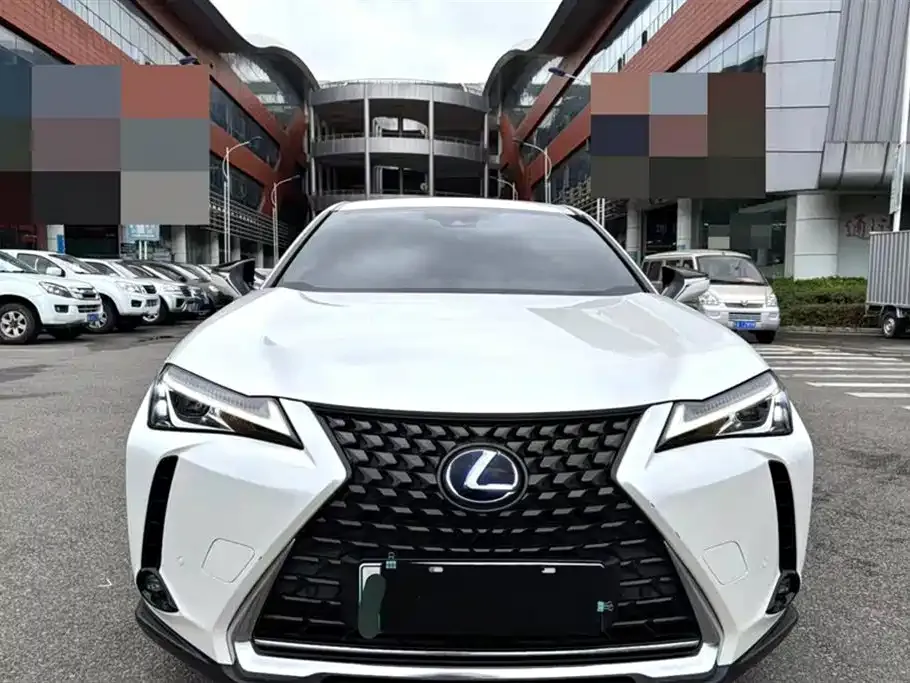 Lexus UX New Energy 2023 из CN, фото 10