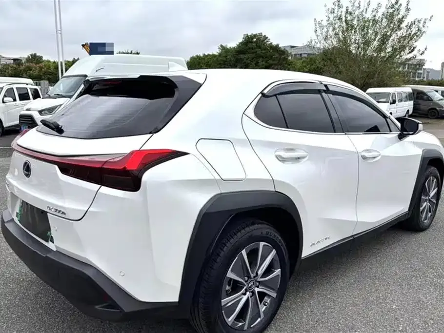 Lexus UX New Energy 2023 из CN, фото 9