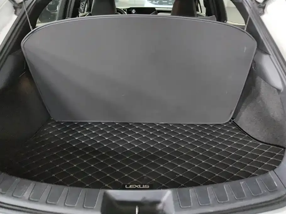 Lexus UX New Energy 2023 из CN, фото 6