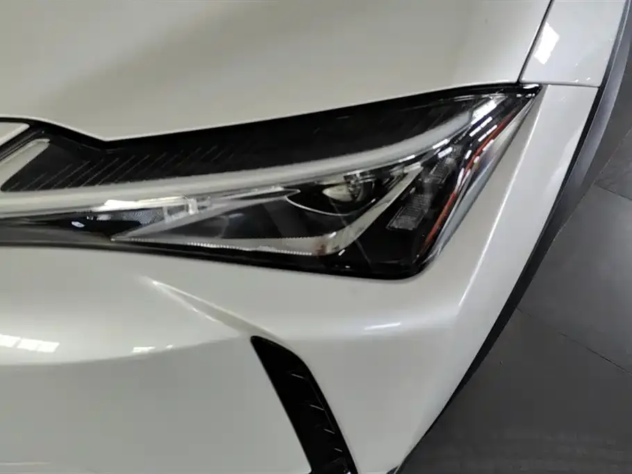 Lexus UX New Energy 2023 из CN, фото 2