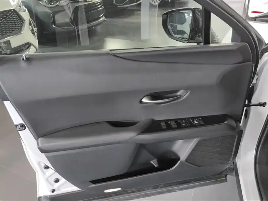 Lexus UX New Energy 2023 из CN, фото 3