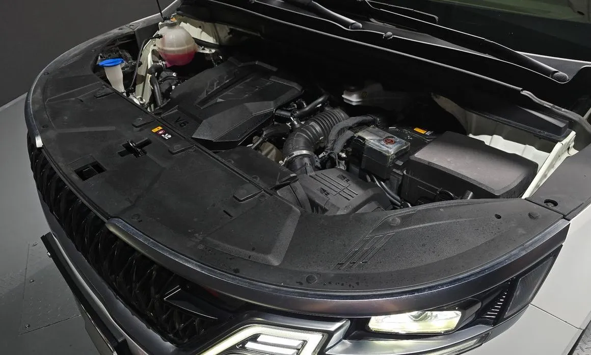 Kia Carnival — фото 10