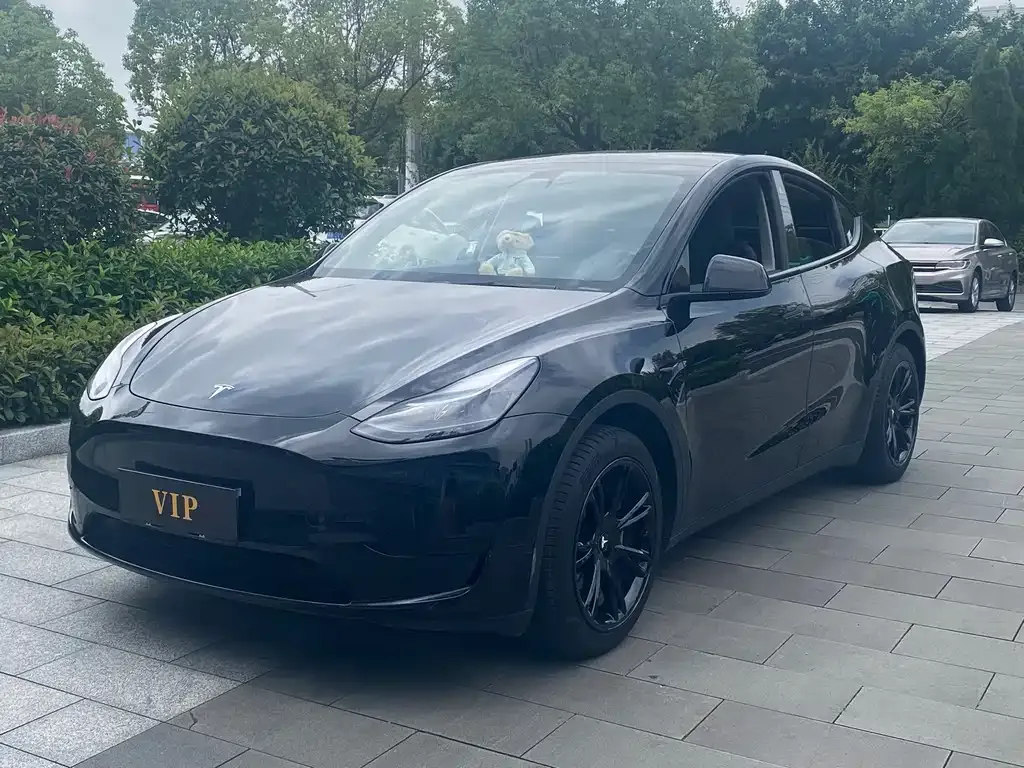 Tesla Model Y — фото 1