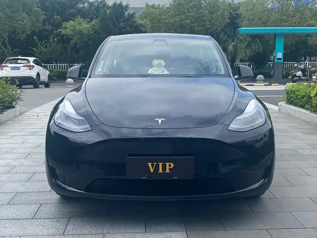 Tesla Model Y — фото 6