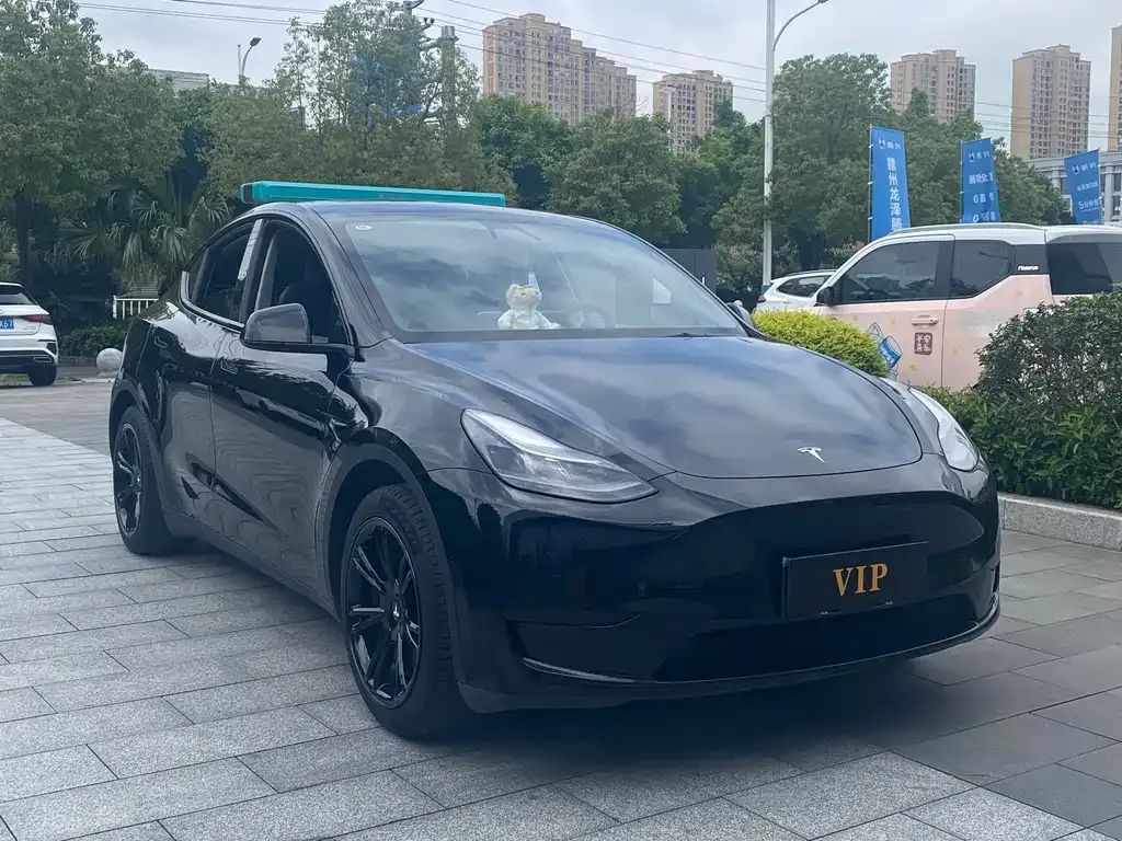 Tesla Model Y — фото 10