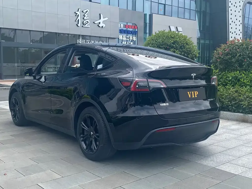 Tesla Model Y — фото 9