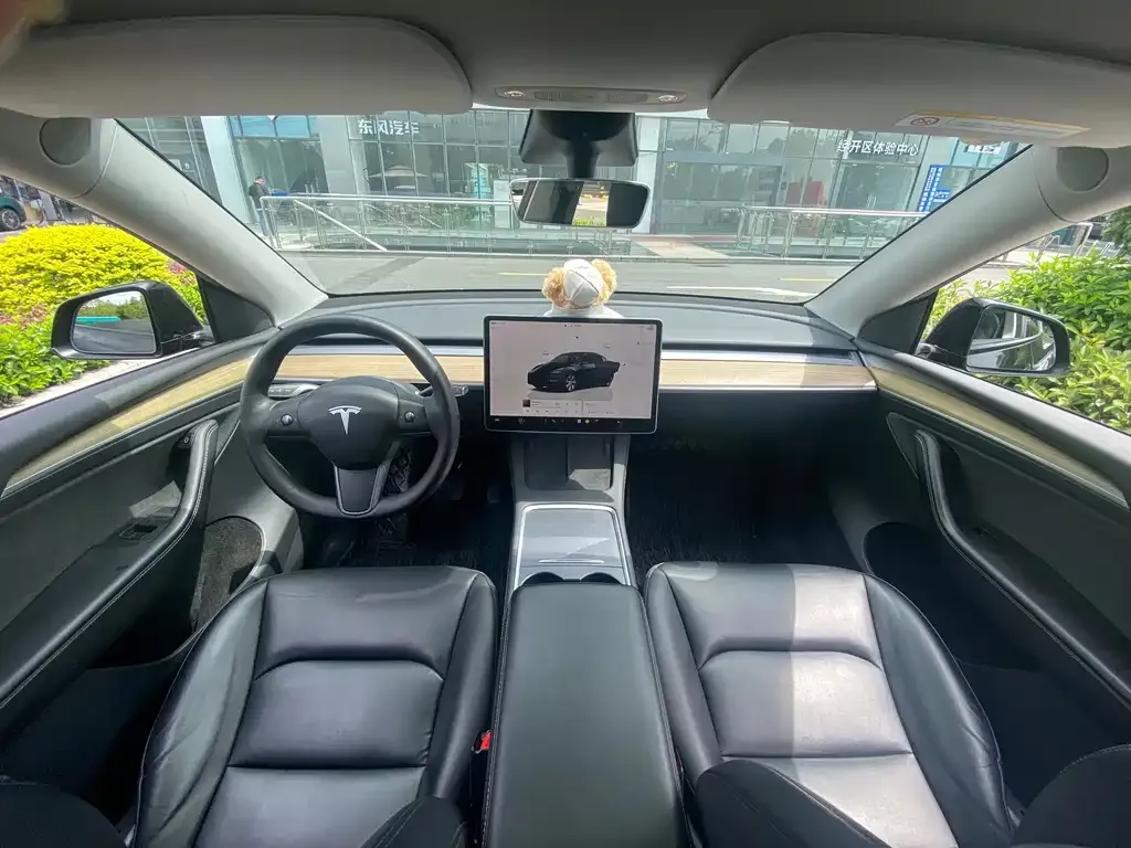 Tesla Model Y — фото 7