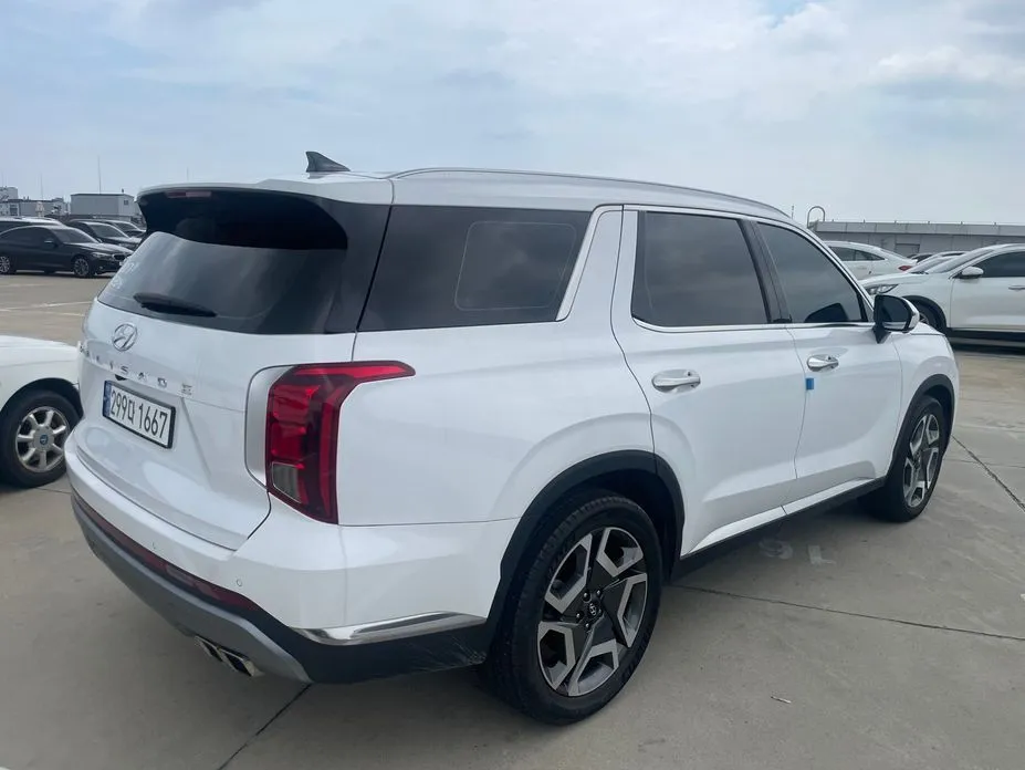 Hyundai Palisade — фото 7