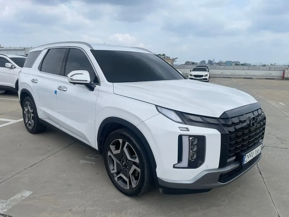 Hyundai Palisade — фото 10