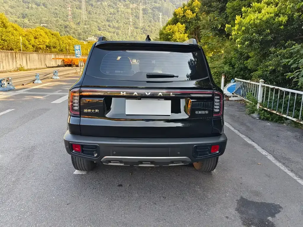 Haval Big Dog 2024 из CN, фото 8