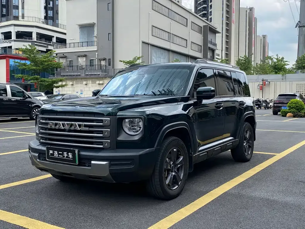Haval Menglong New Energy — фото 1