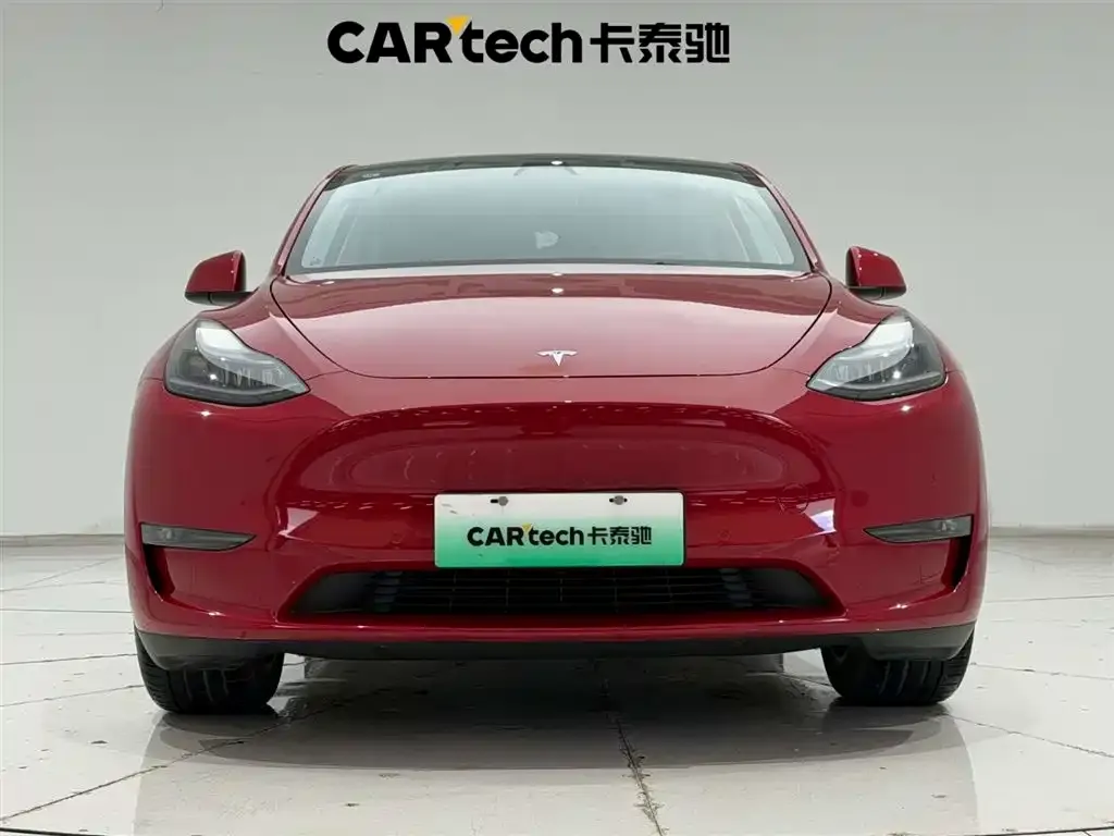Tesla Model Y — фото 10