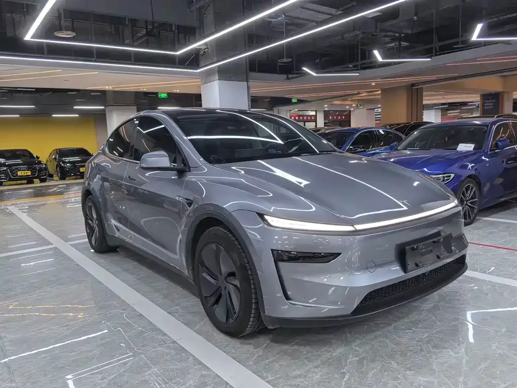 Tesla Model Y — фото 10