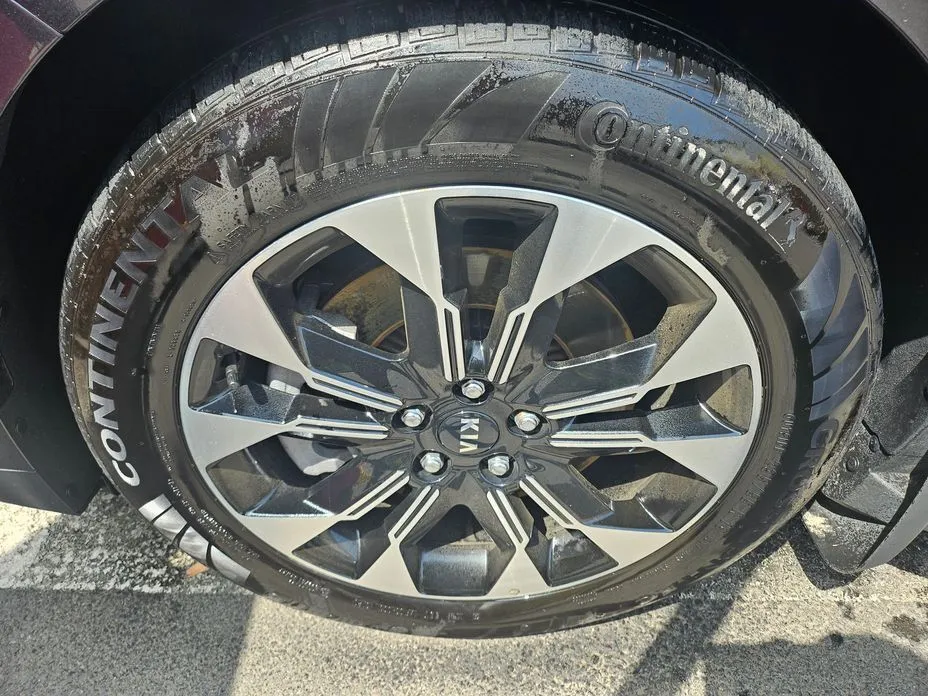 Kia Carnival — фото 10