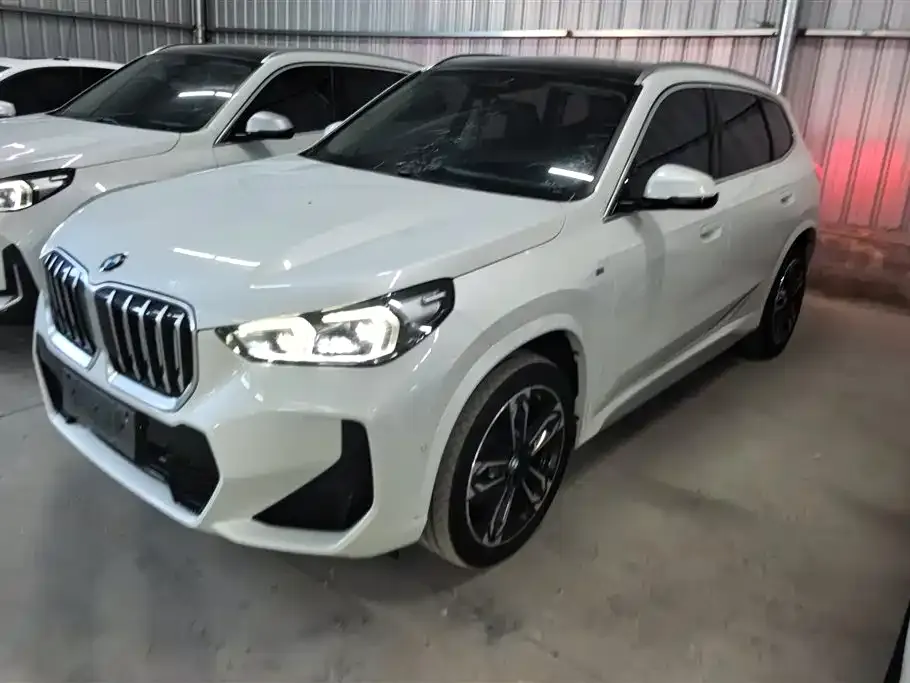 BMW X1 — фото 1