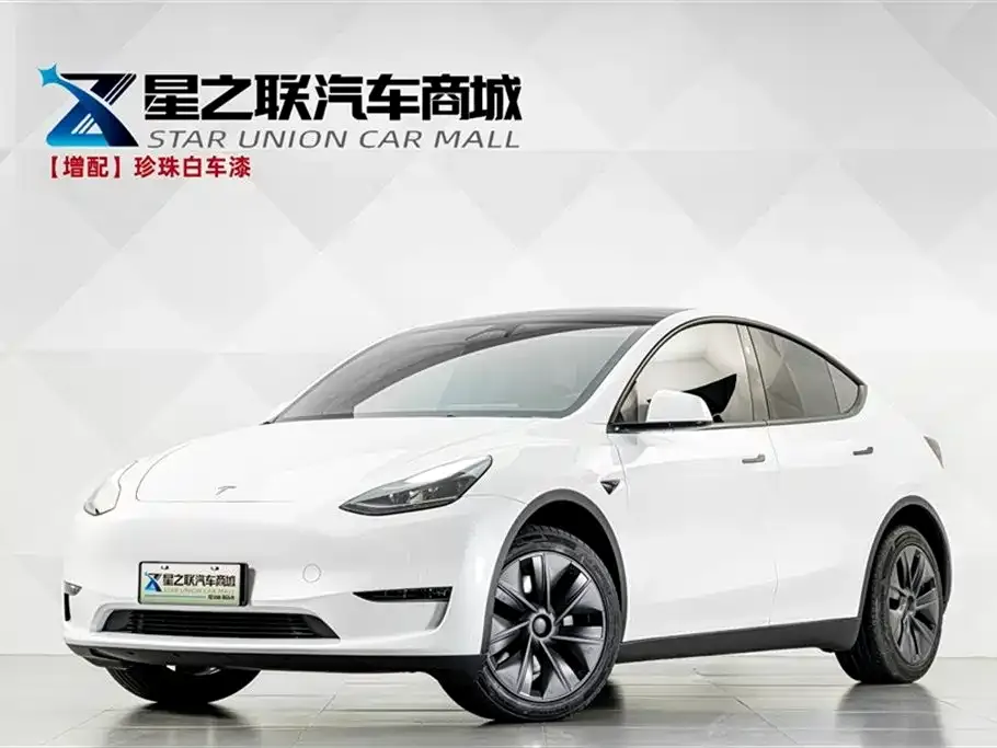 Tesla Model Y — фото 1