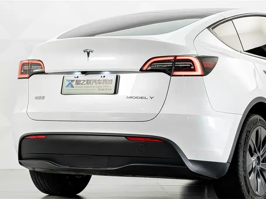 Tesla Model Y — фото 3