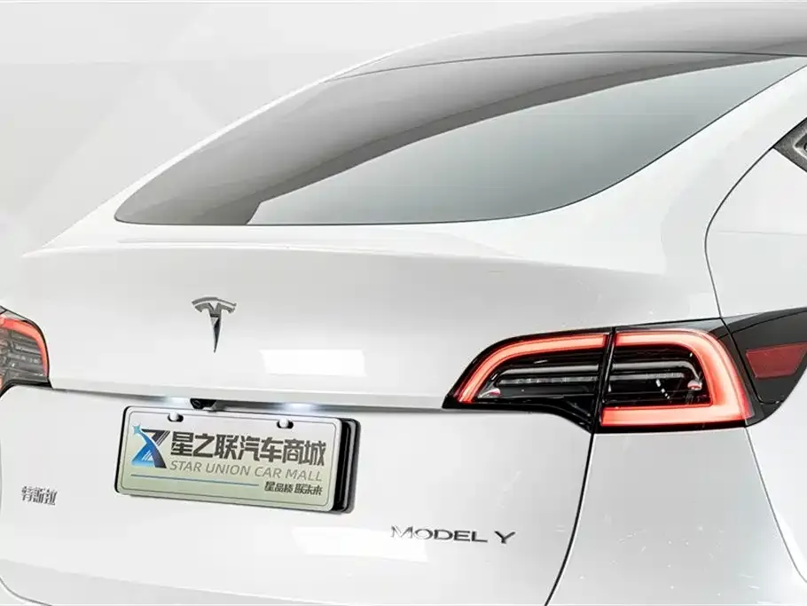Tesla Model Y — фото 4