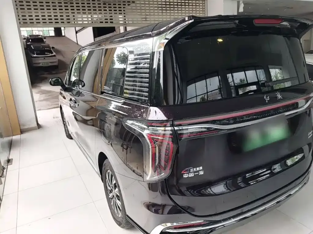 Hongqi HQ9 PHEV — фото 8