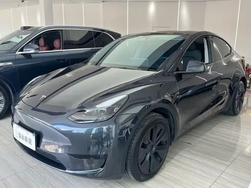 Tesla Model Y — фото 1