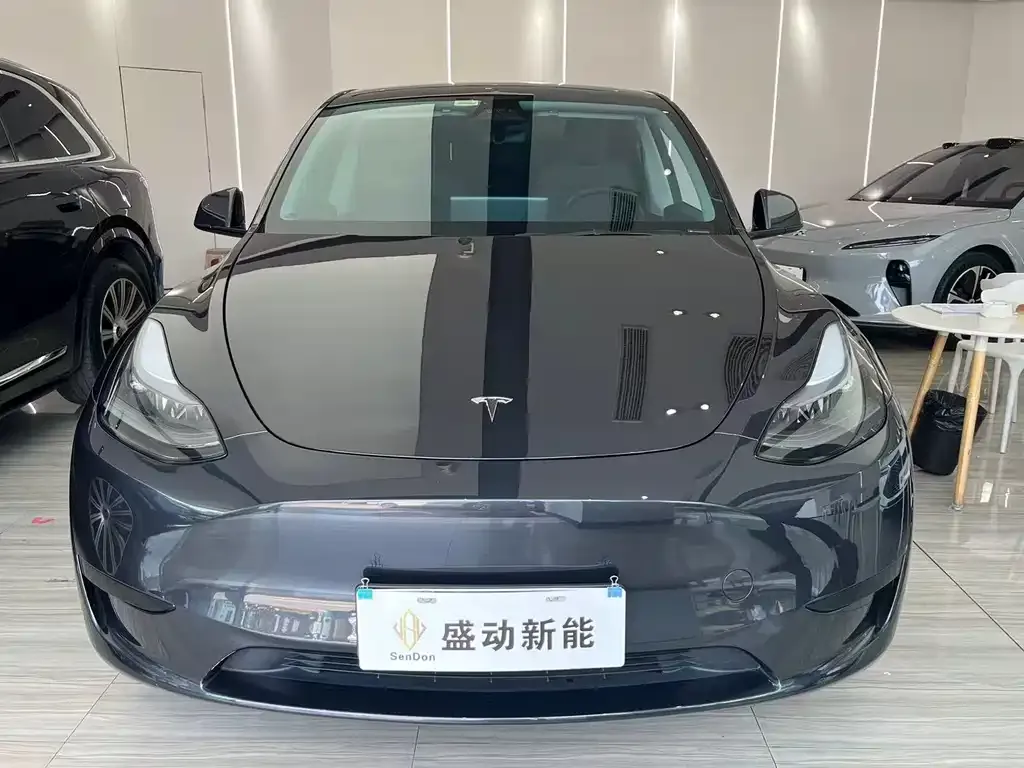 Tesla Model Y — фото 10