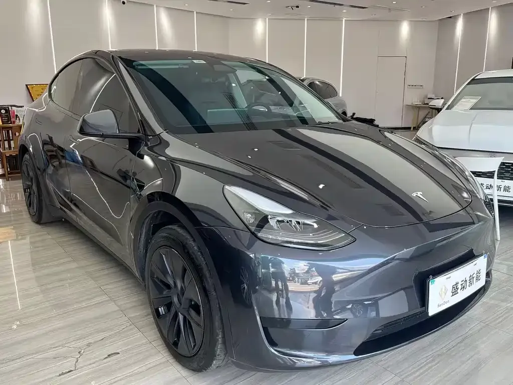 Tesla Model Y — фото 8