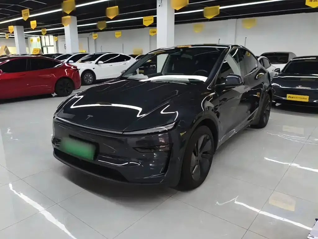 Tesla Model Y — фото 10