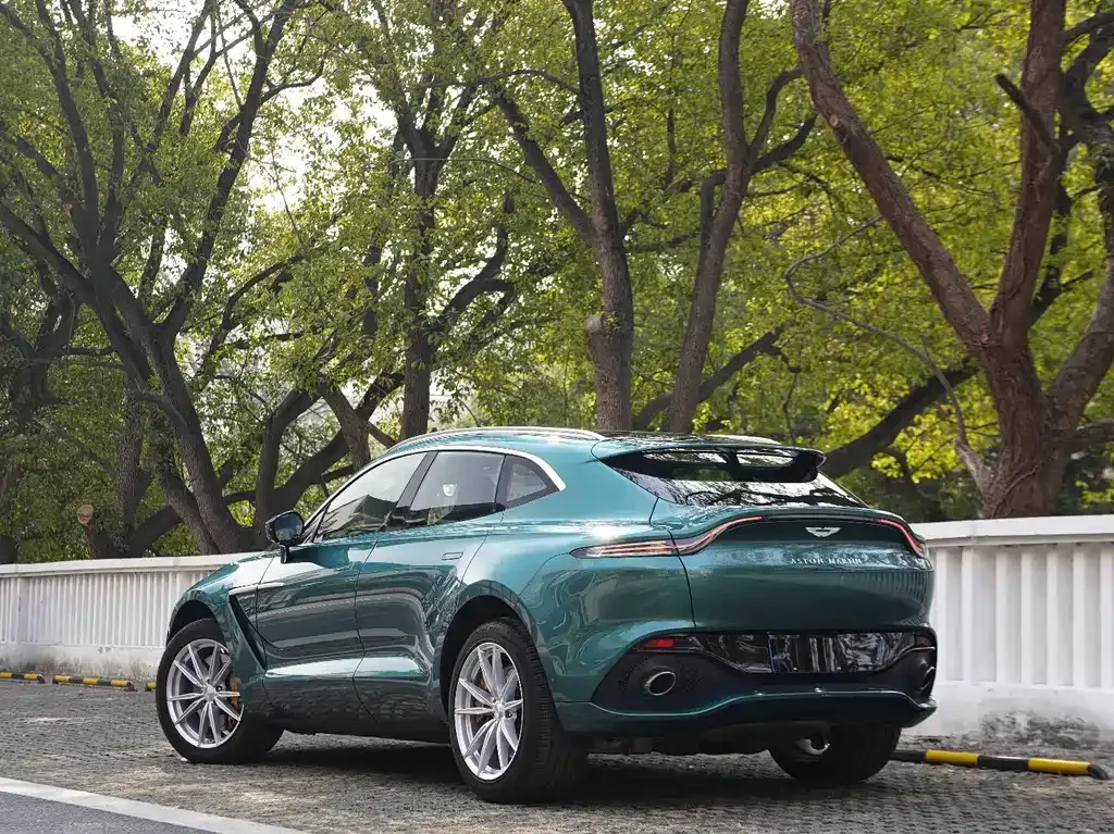 Aston Martin DBX — фото 10