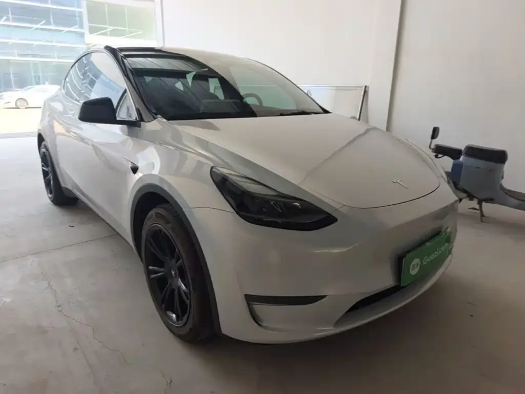 Tesla Model Y — фото 5