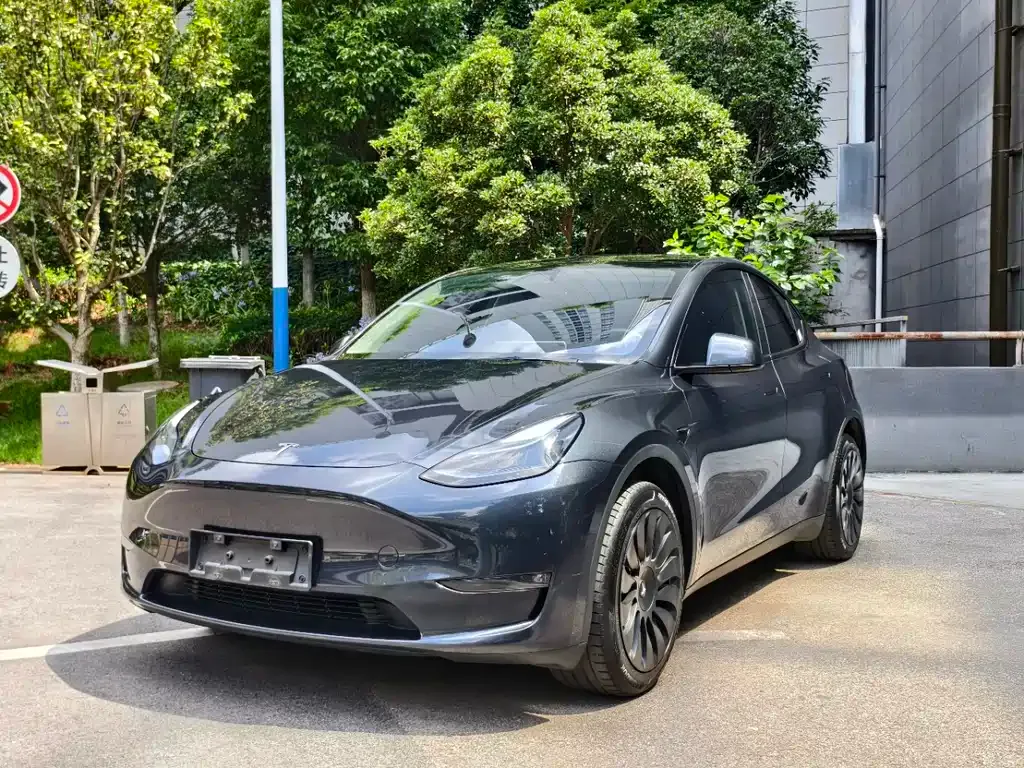 Tesla Model Y — фото 1