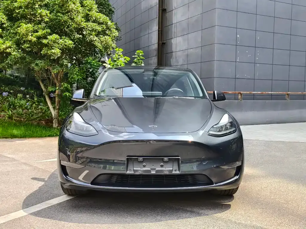 Tesla Model Y — фото 7