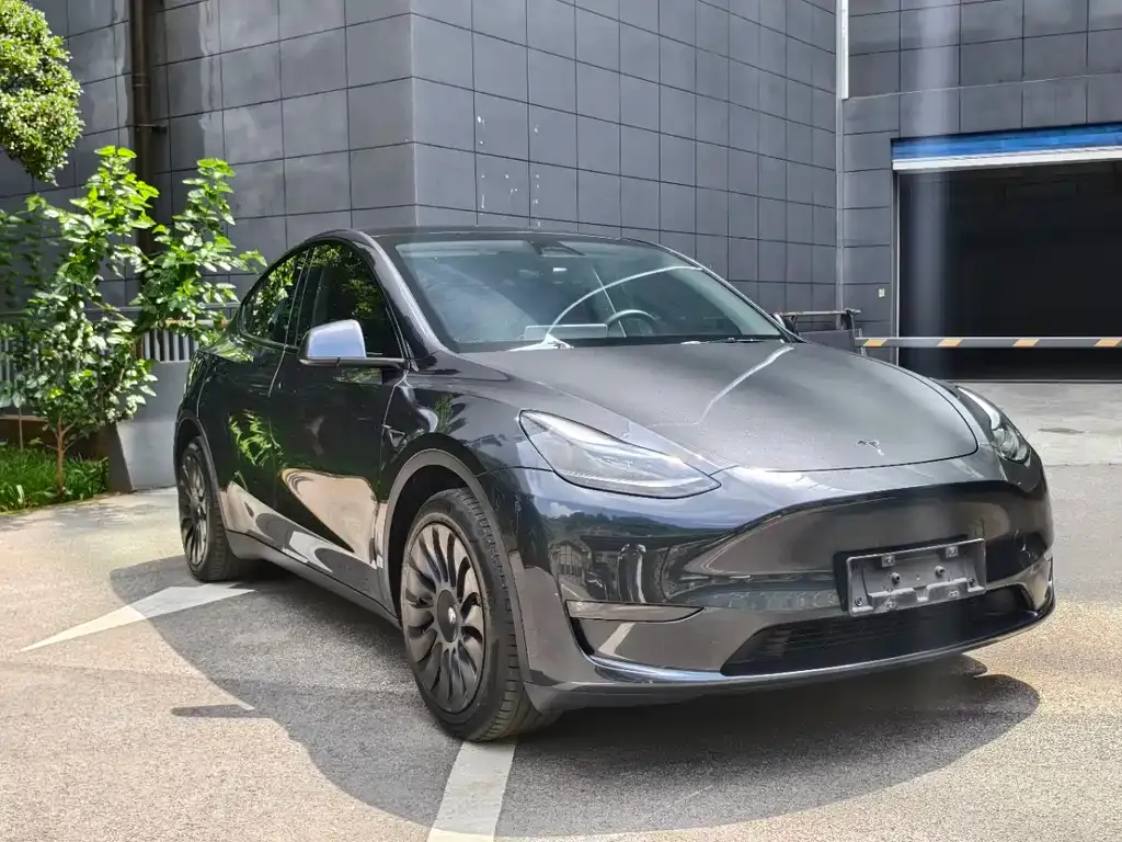 Tesla Model Y — фото 3