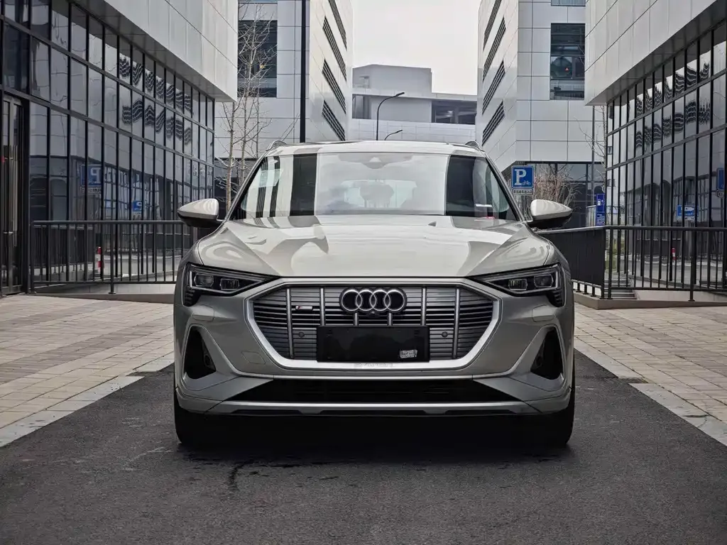 Audi e-tron — фото 4