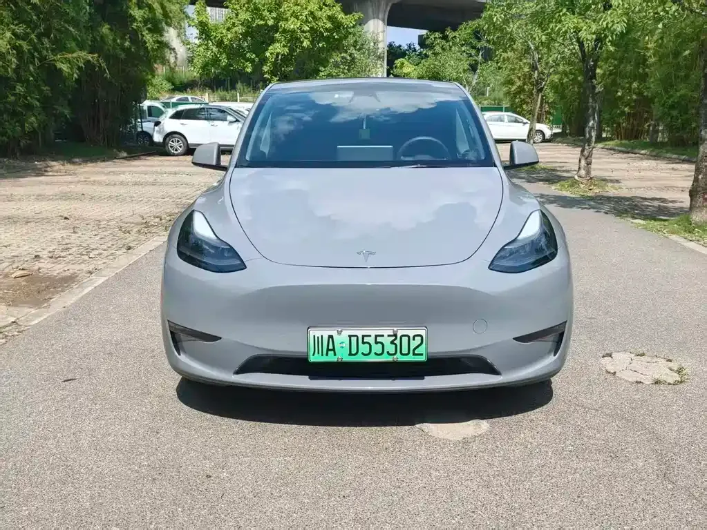 Tesla Model Y — фото 7