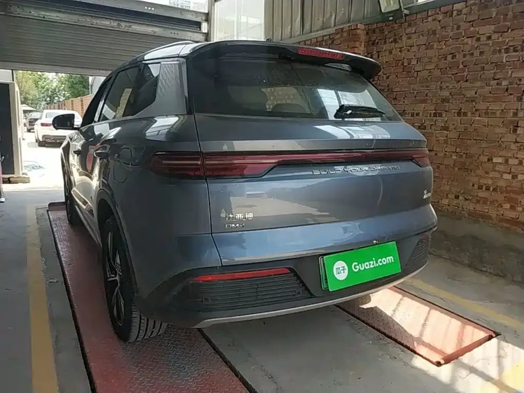 BYD Pro New Energy — фото 6