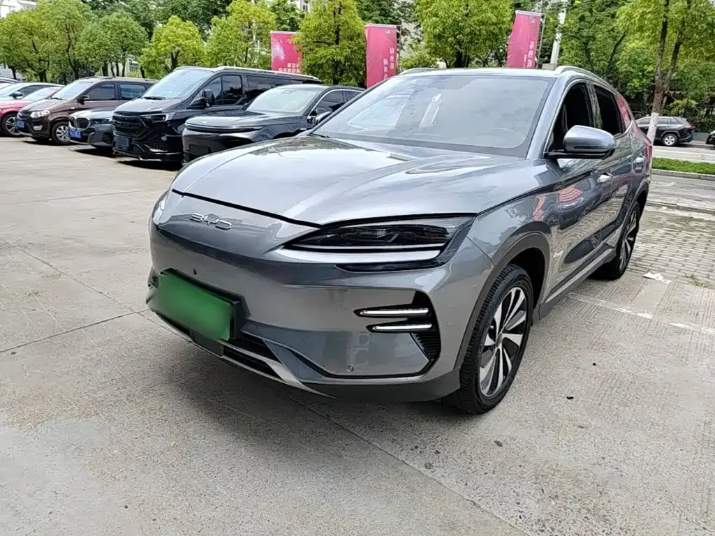 BYD PLUS New Energy — фото 1