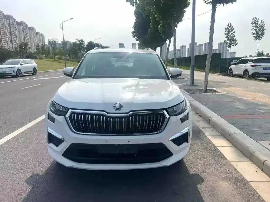 Skoda Kodiaq 2024 из CN, фото 3