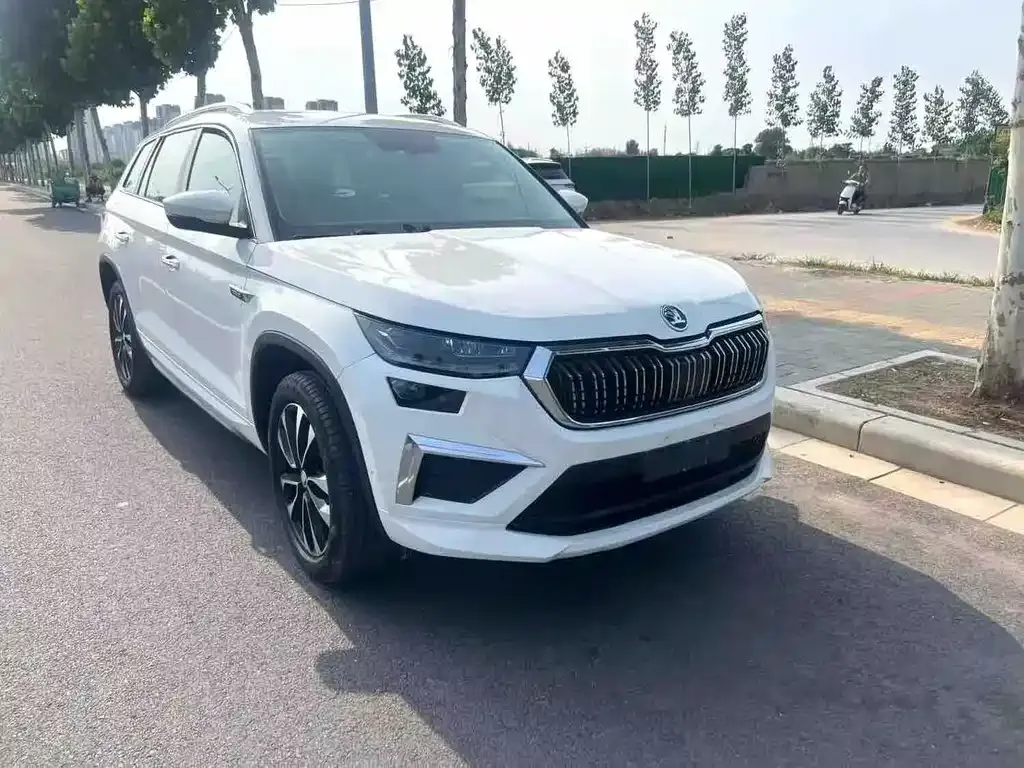 Skoda Kodiaq 2024 из CN, фото 9