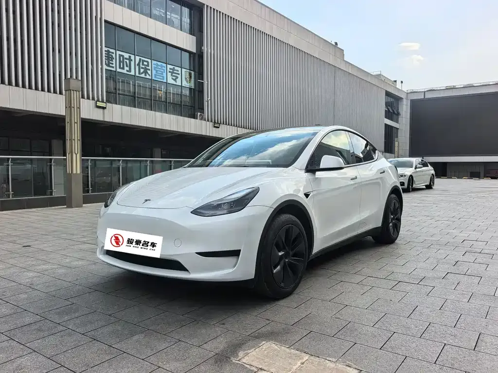 Tesla Model Y — фото 1