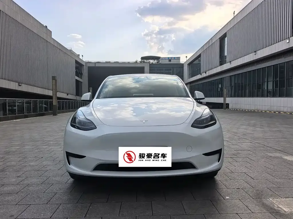 Tesla Model Y — фото 10