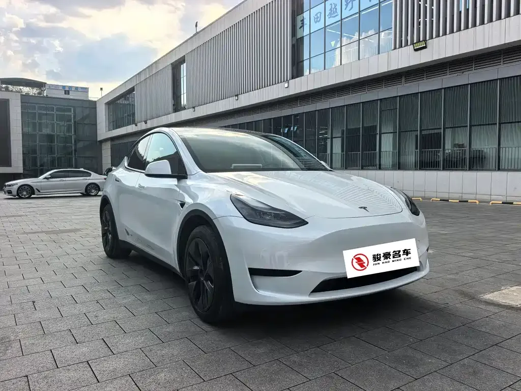 Tesla Model Y — фото 8