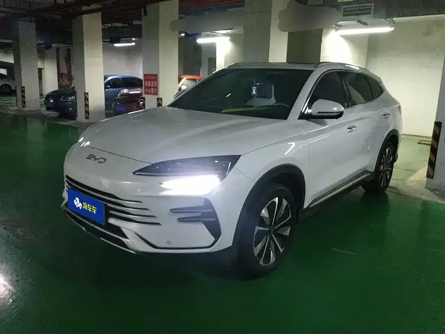 BYD PLUS New Energy — фото 1