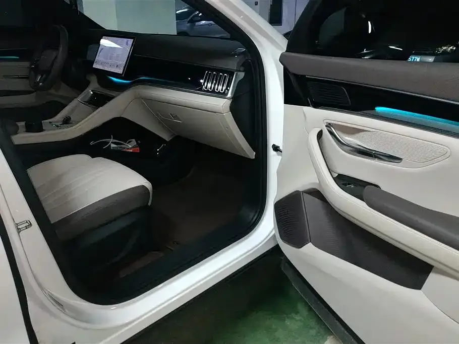 BYD PLUS New Energy — фото 4