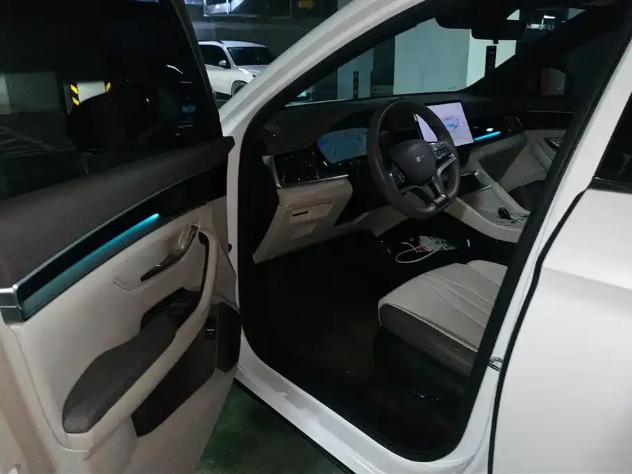 BYD PLUS New Energy — фото 8