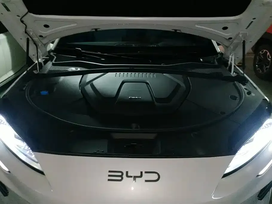 BYD PLUS New Energy — фото 6