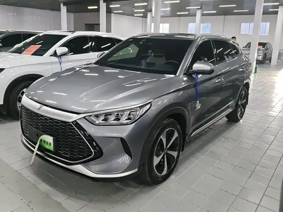 BYD PLUS New Energy — фото 1