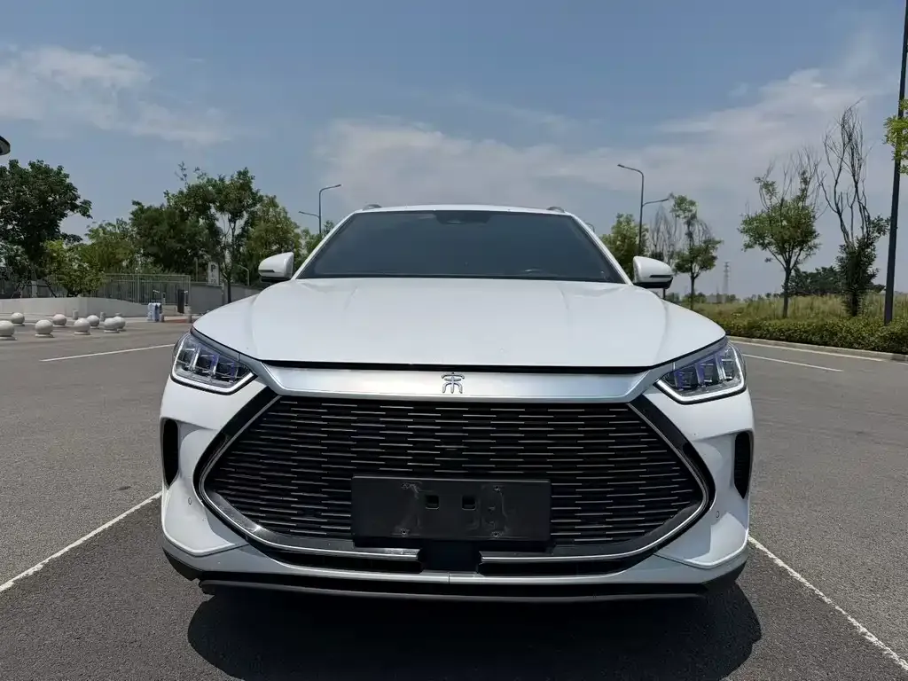 BYD PLUS New Energy — фото 2
