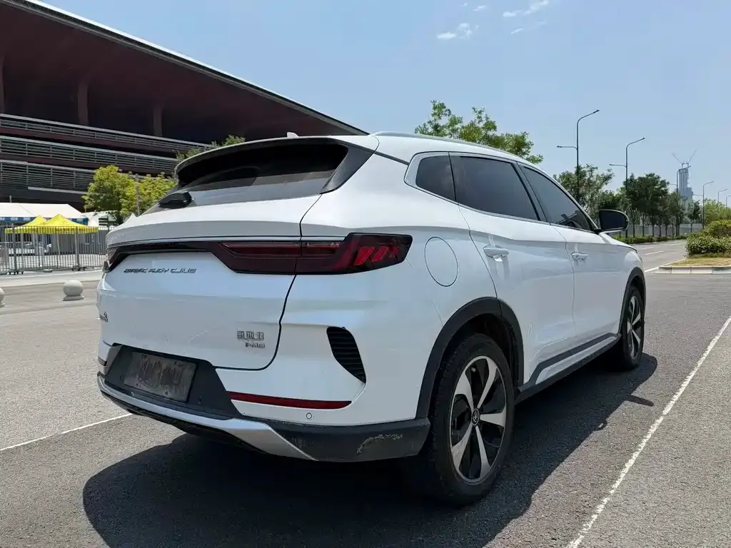 BYD PLUS New Energy — фото 4