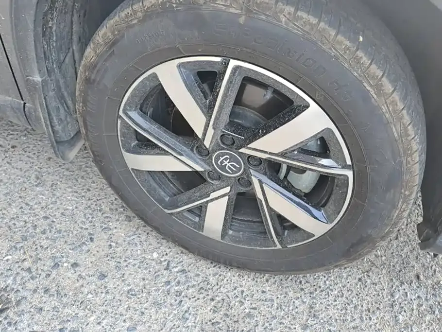 BYD Pro New Energy — фото 7